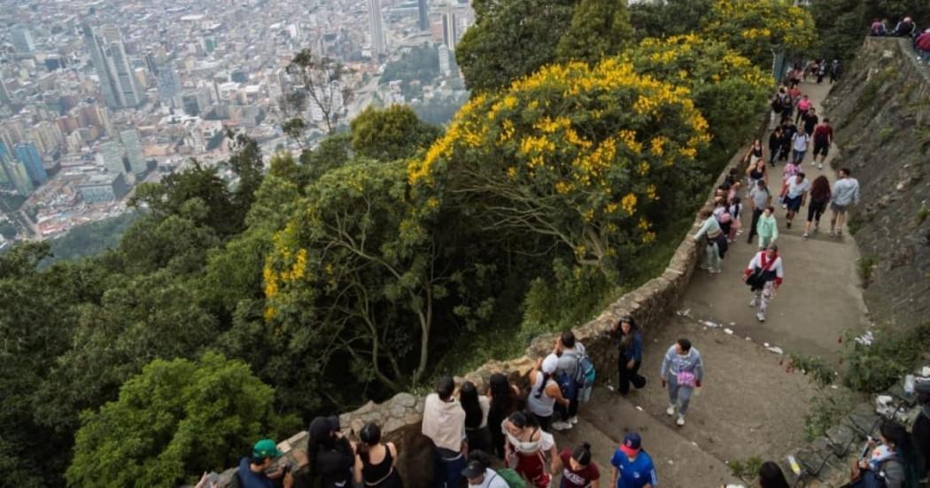 Foto de bogotanos y bogotanas en el sendero de ascenso al cerro de Monserrate en Bogotá.