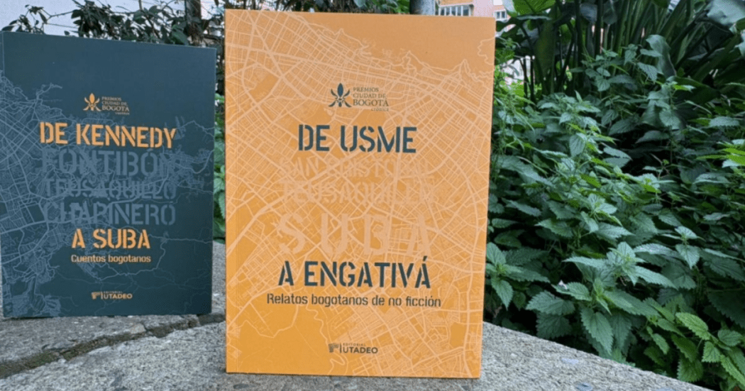 Imgen de algunas de las obras ganadoras de estos premios nacionales y distritales.