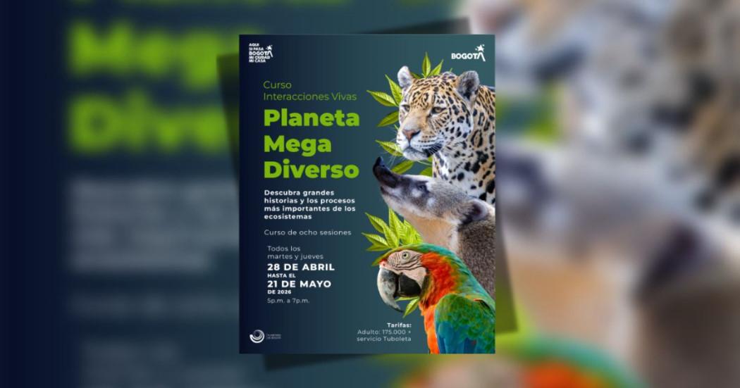 Imagen de afiche con letras y animales de Curso Interacciones vivas 