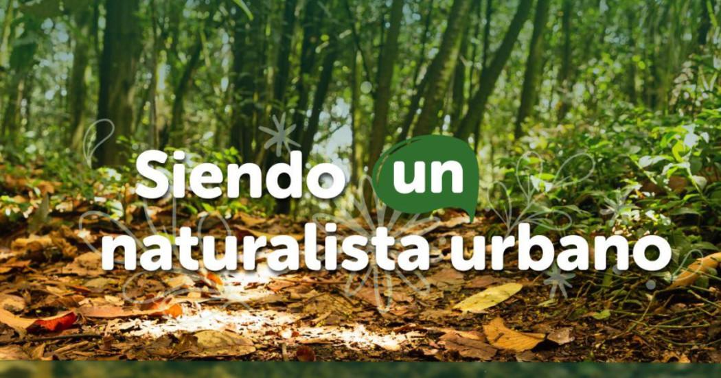Pieza gráfica Siendo un Naturalista Urbano del Jardín Botánico de Bogotá
