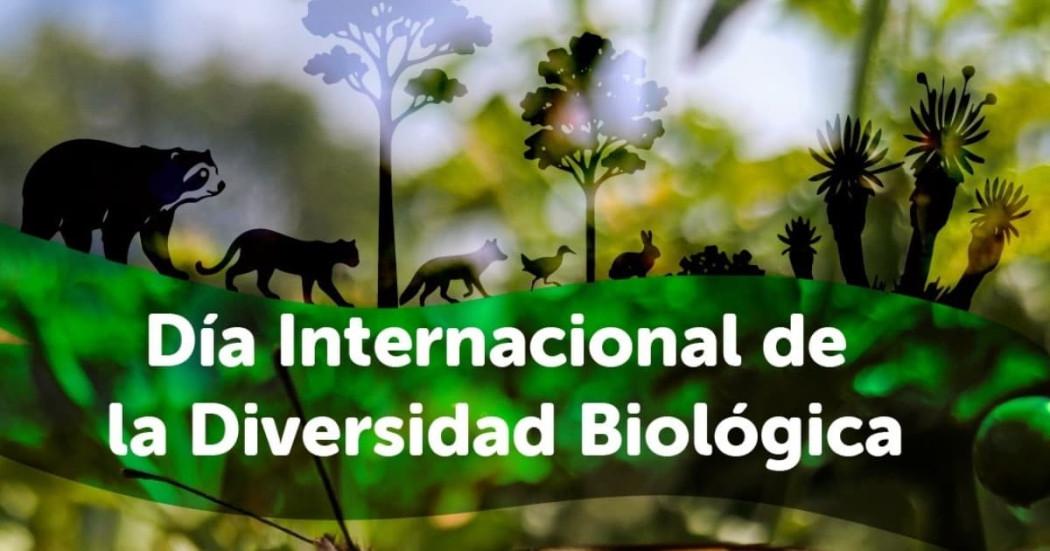 Invitación Día de la Diversidad Biológica