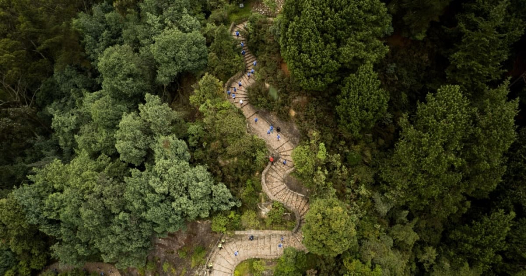 Vista aérea del sendero de Monserrate de Bogotá rodeado de vegetación y caminantes ascendiendo
