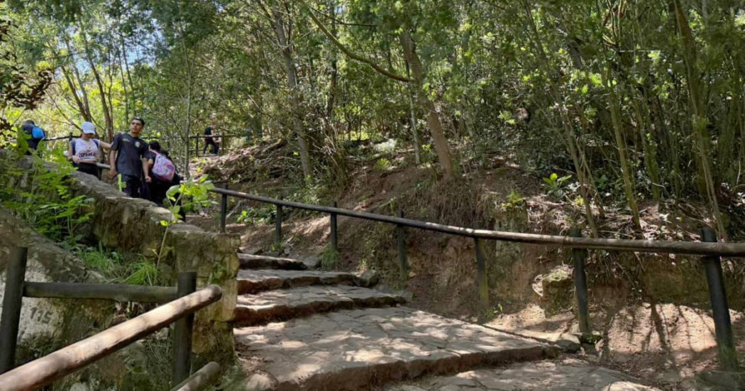 Personas ascienden sendero de Monserrate entre árboles y escalones naturales en Bogotá