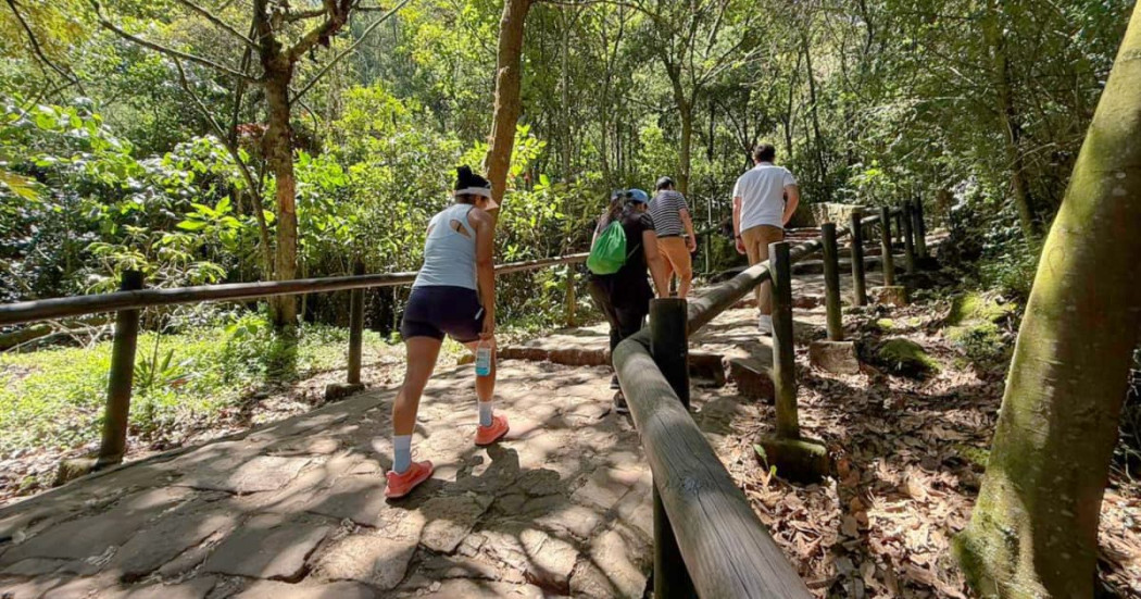 Personas ascienden sendero de Monserrate entre árboles, barandas de madera y camino empedrado