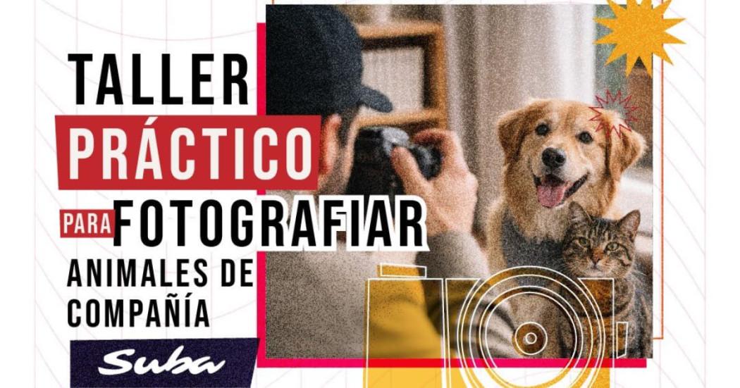 invitación taller de fotografía de animales de compañía en Suba