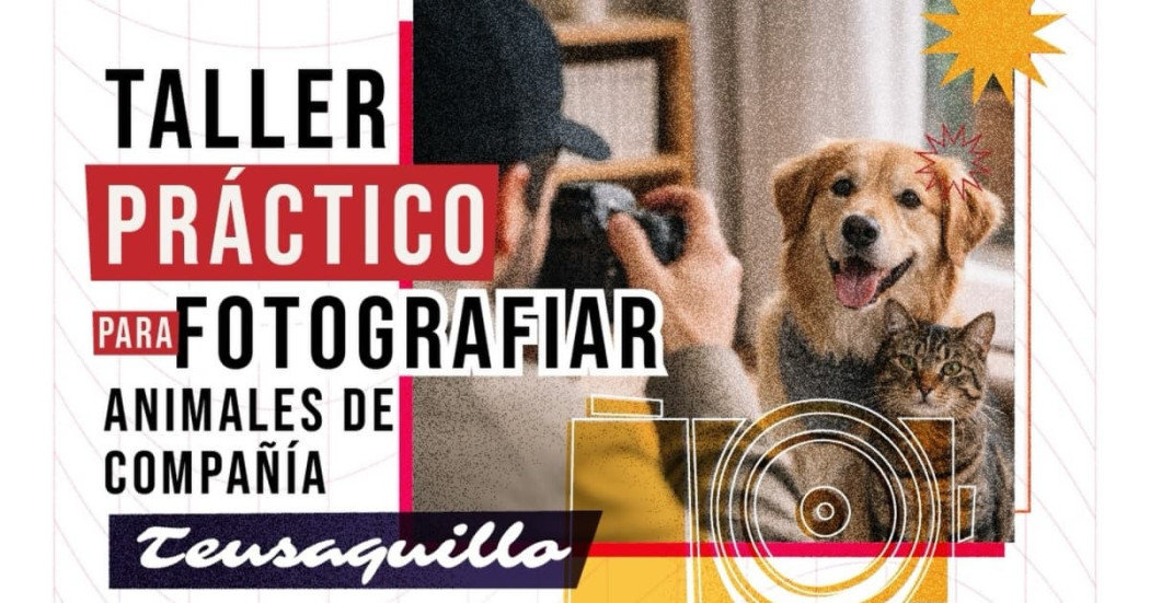 invitación taller de fotografía de animales de compañía en Teusaquillo con el texto: "Taller práctico para fotografiar animales de compañía"