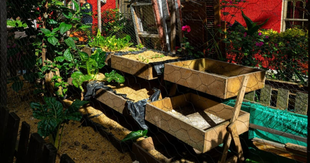 Huerta de agricultura urbana en La Candelaria con cultivos en jardineras y producción sostenible de alimentos en Bogotá.