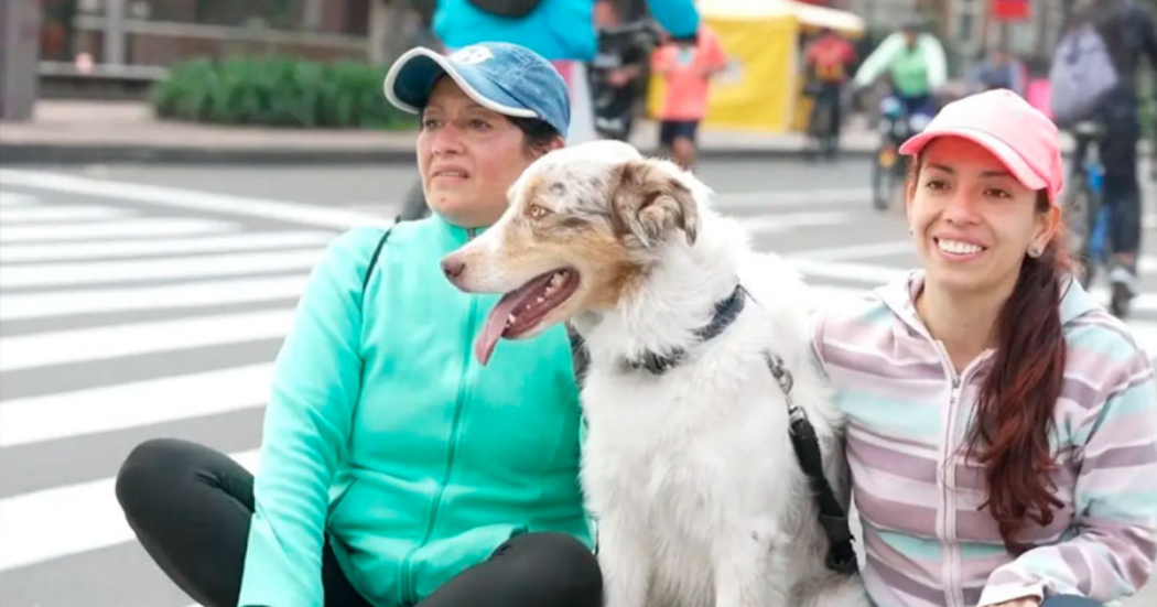 Imagen de dos mujeres sentadas al lado de su perro blanco con café claro.