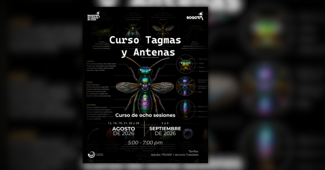Imagen de afiche oficial de una mosca grande con dibujos de sus partes 