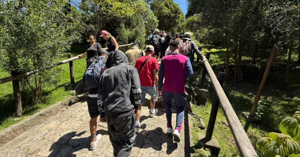 Personas ascienden por el sendero peatonal de Monserrate en Bogotá rodeada de vegetación y naturaleza.