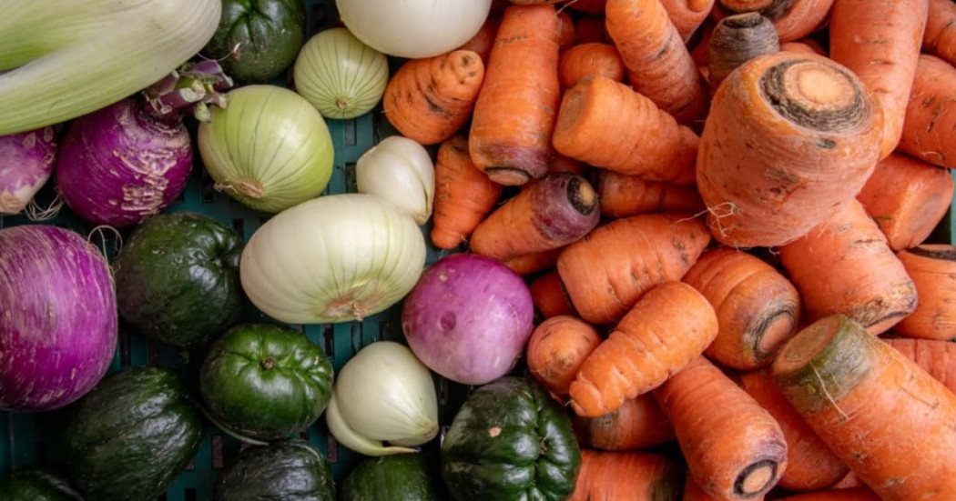 Foto de verduras como cebollas, zanahorias y otras.