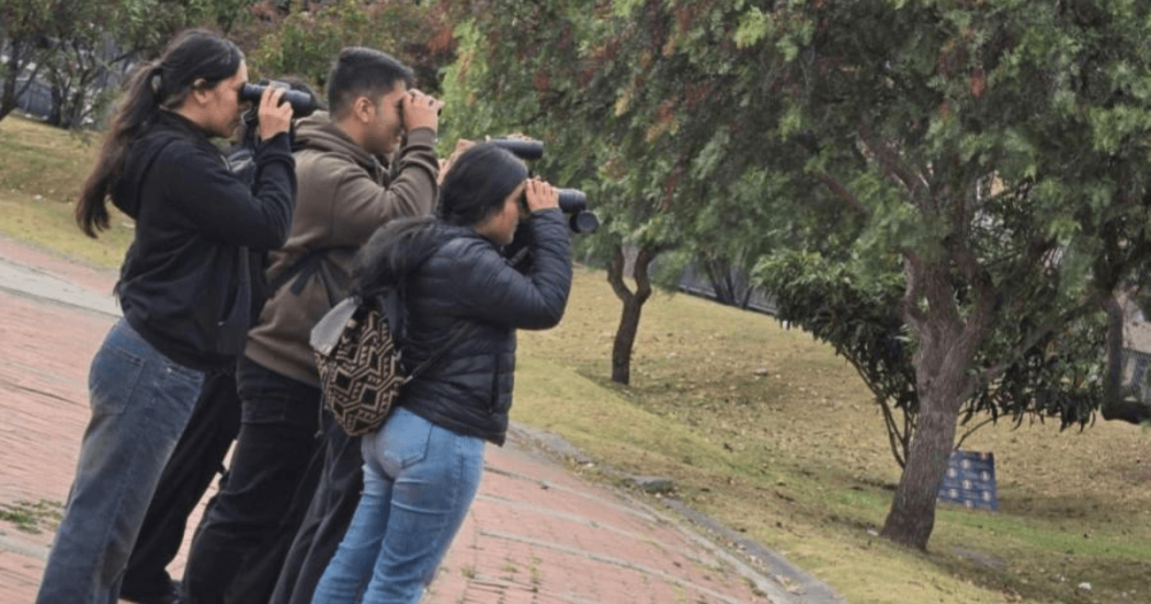 Imagen de personas con binoculares en bosque urbano de Bogotá