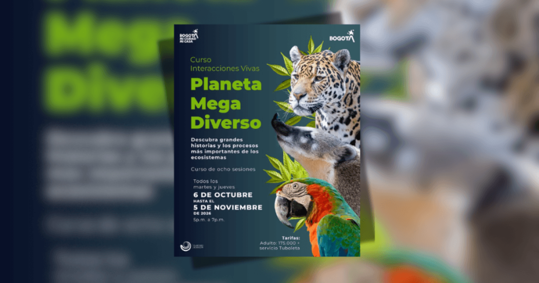 Imagen de afiche con letras y animales de Curso Interacciones vivas