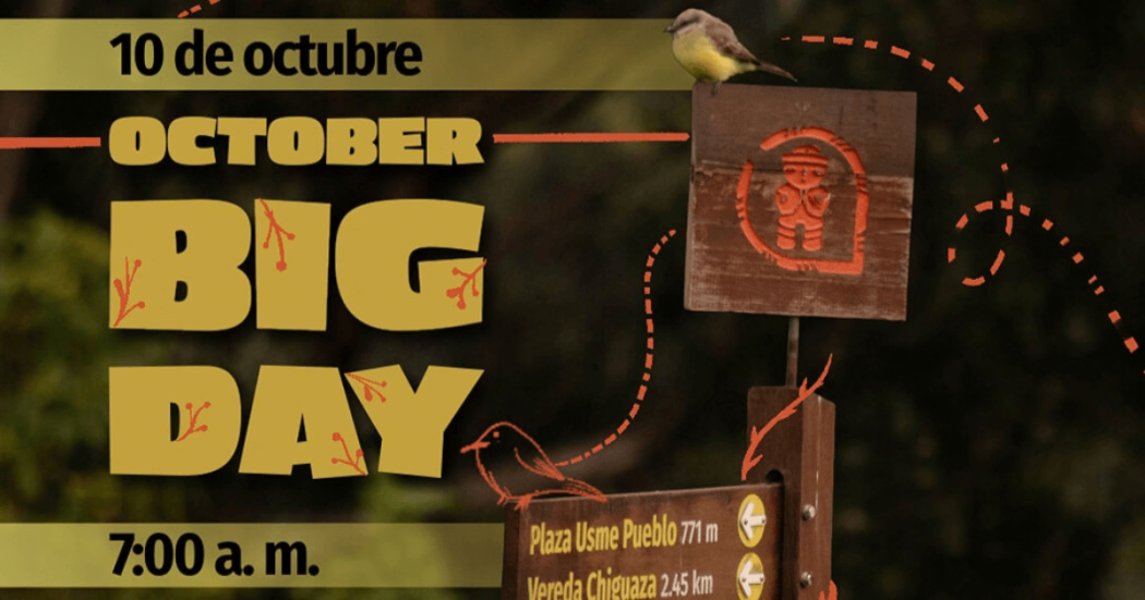Imagen de afiche Global Big Day en letras