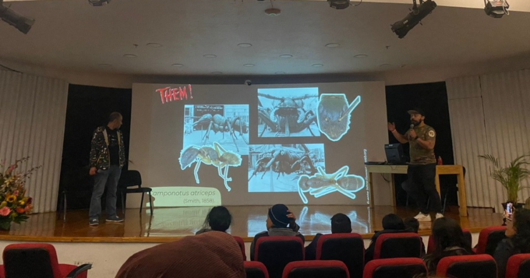 Imagen de exposición de ARTrópodo