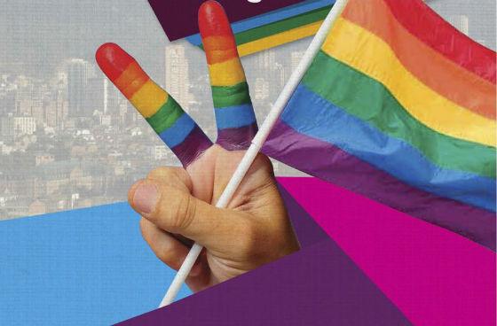 Consejo Consultico LGBTI - Imagen: IDPAC