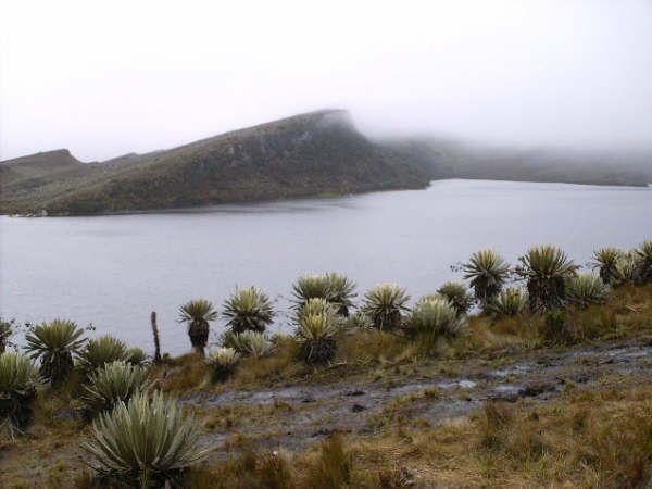 El parque Natural Sumapaz, elegido como el primer tesoro natural de Bo |  Bogota.gov.co