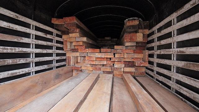 Operativo incautación de madera - Foto: Prensa Secretaría de Ambiente