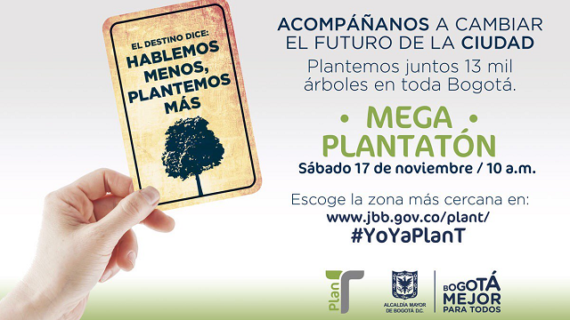 Con la 'Megaplantatón' se plantarán más de 13 mil árboles por toda la ciudad