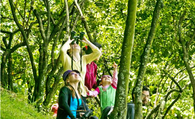 Caminata avistamiento de aves y recorrido sendero parque la Florida