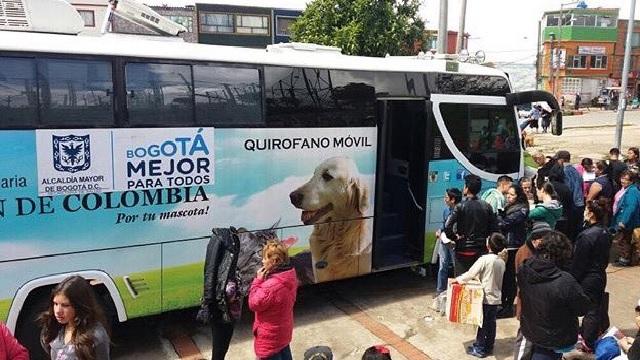 Perros y gatos agradecen operativos del Distrito contra el maltrato en el sur de Bogotá. Foto: Protección Animal