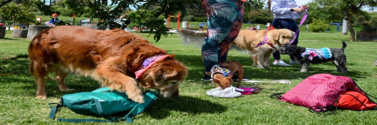 Parques para mascotas en Bogotá 2024 visítalos - Parque Ecológico Aguaviva