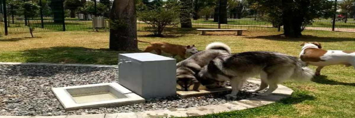 Parques para mascotas en Bogotá 2024 visítalos - Parque El Tunal.