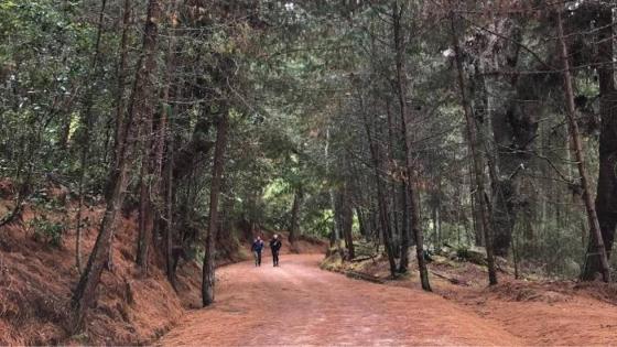 En Bogotá hay 8 senderos ecológicos para practicar senderismo