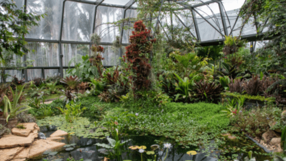 Imagen de Tropicario del Jardín Botánico de Bogotá.