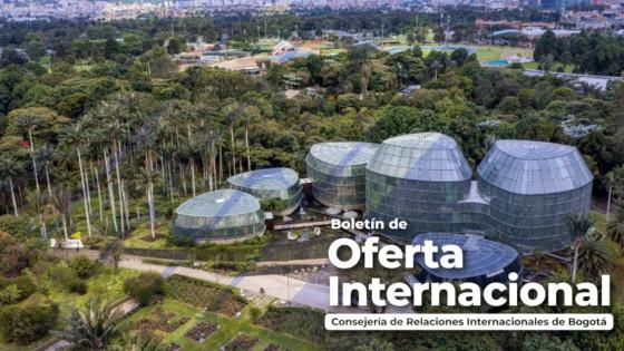 Premios, fondos y apoyos internacionales Bogotá desde febrero 2026