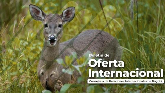 Accede a fondos y financiación desde el exterior para proyectos Bogotá 