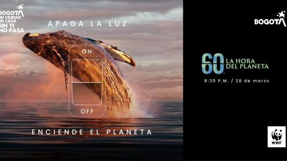 Imagen de luna ballena en el mar