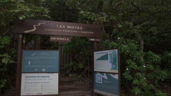 Foto del sendero Las Moyas en los Cerros Orientales de Bogotá.