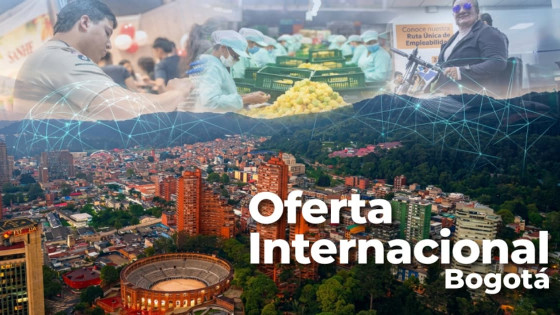 Convocatorias y apoyos a ONG Boletín Oferta Internacional Bogotá 2026