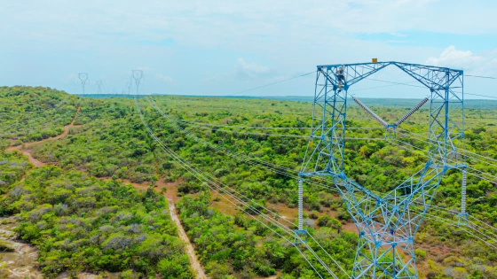 Foto que muestra una antena de energía y árboles 