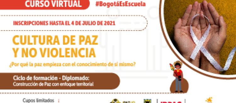 Imagen del curso Cultura de Paz y No Violencia