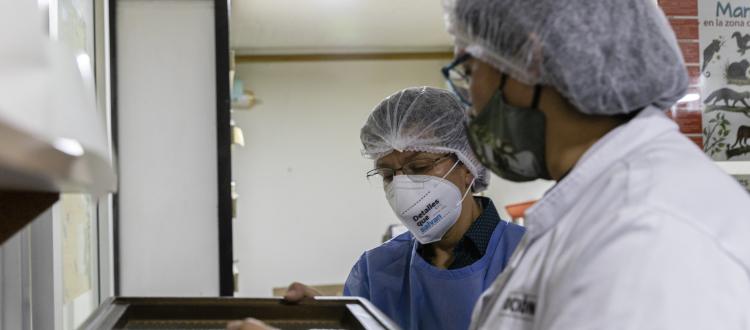 Personas revisando objetos