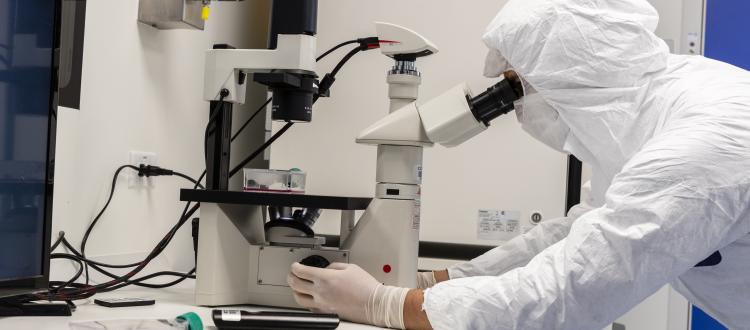 Personal de salud frente a un microscopio