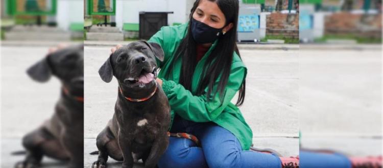 Mujer con un perro