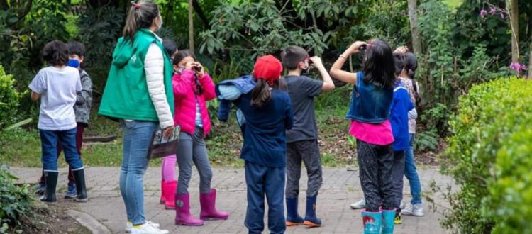Niños