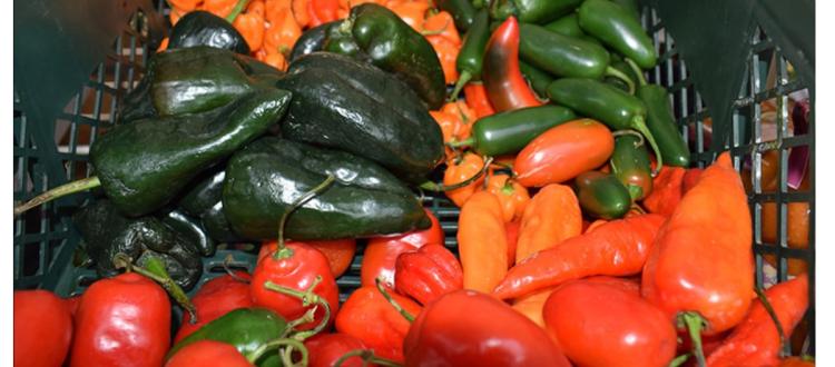 Inscríbete en la Semana de Reducción de Desperdicios de Alimentos 2023