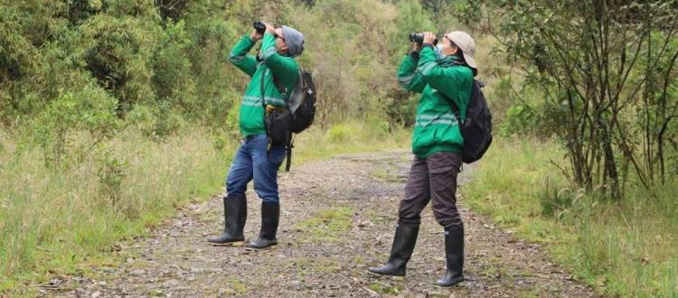 Personas observando