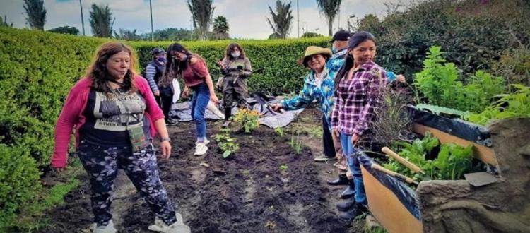 Huerta