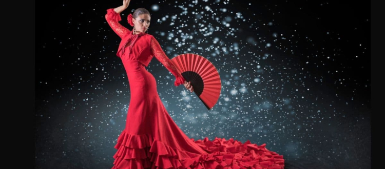 Flamenco banco de imágenes