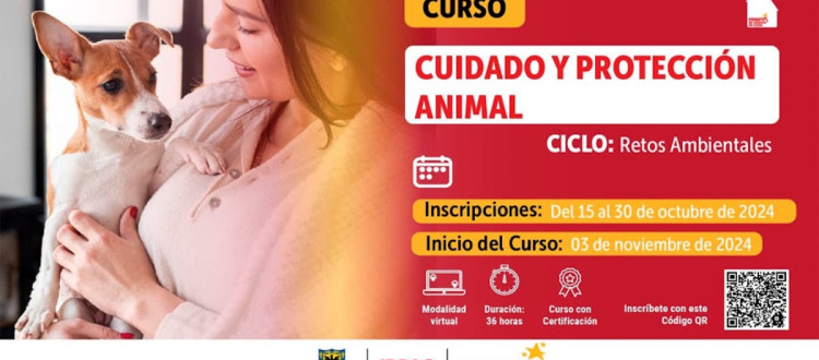 Cursos gratuitos IDPAC