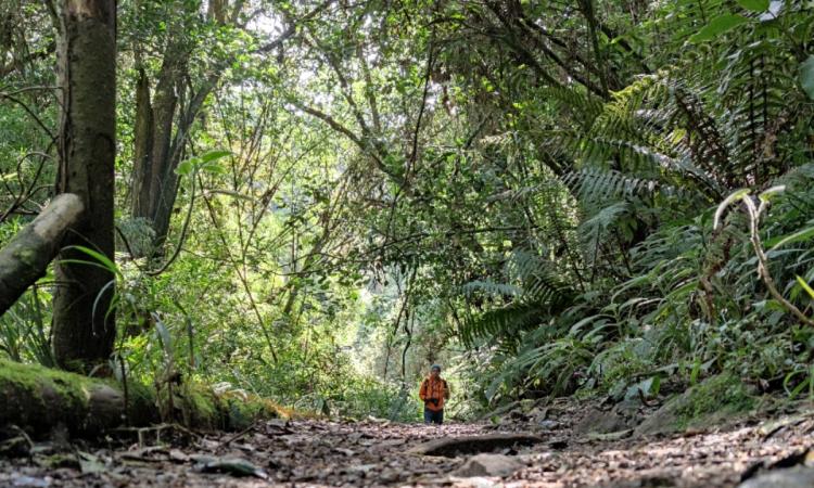 Visita los senderos de Bogotá este 13 y 14 de enero: agenda cita 