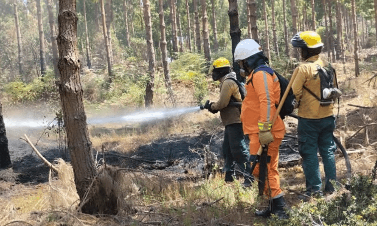 CAR y Defensa Civil se preparan para afrontar incendios forestales