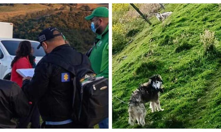 Foto de las autoridades en un operativo en un criadero ilegal en Ciudad Bolívar