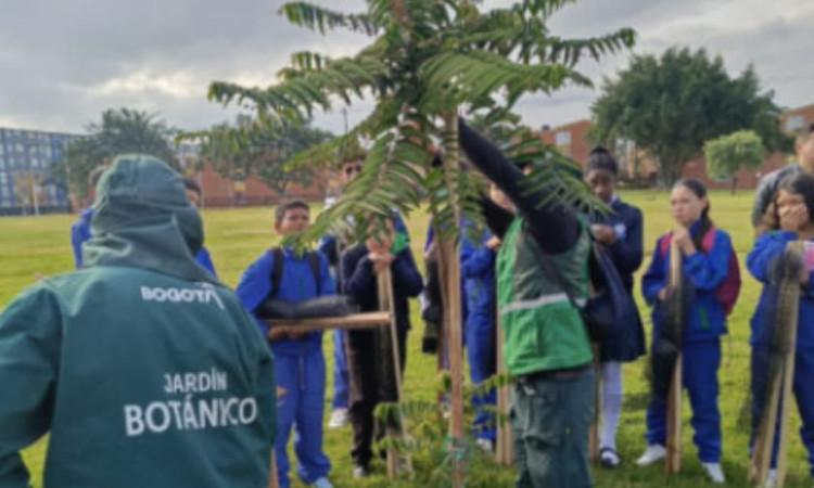 Foto de uno de los 145 nuevos árboles plantados en el parque El Recreo de Bosa en Bogotá y estudiantes guardianes.