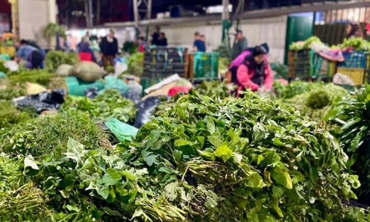 Foto de hierbas en la Plaza Distrital de Mercado Samper Mendoza en Bogotá.